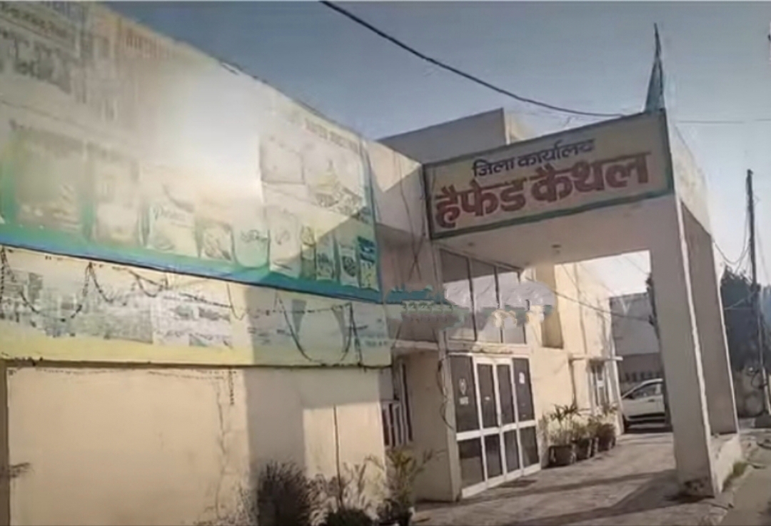 हैफेड का जिला कार्यालय व गोदाम हैफेड का जिला कार्यालय व गोदाम