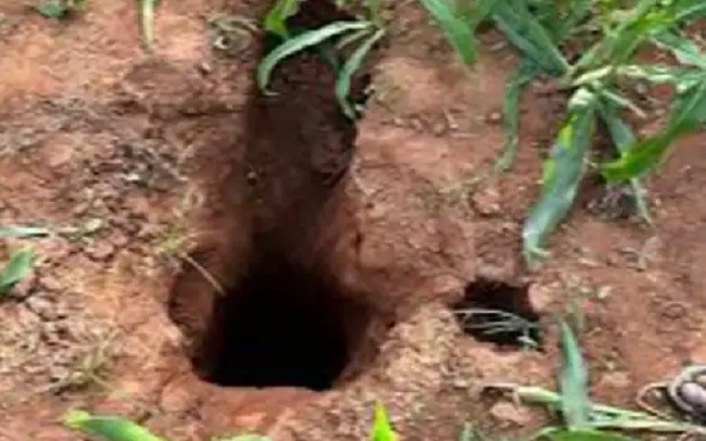 मप्रः खुले बोरवेल में दुर्घटना होने पर होगी एफआईआर, नया कानून लागू मप्रः खुले बोरवेल में दुर्घटना होने पर होगी एफआईआर, नया कानून लागू