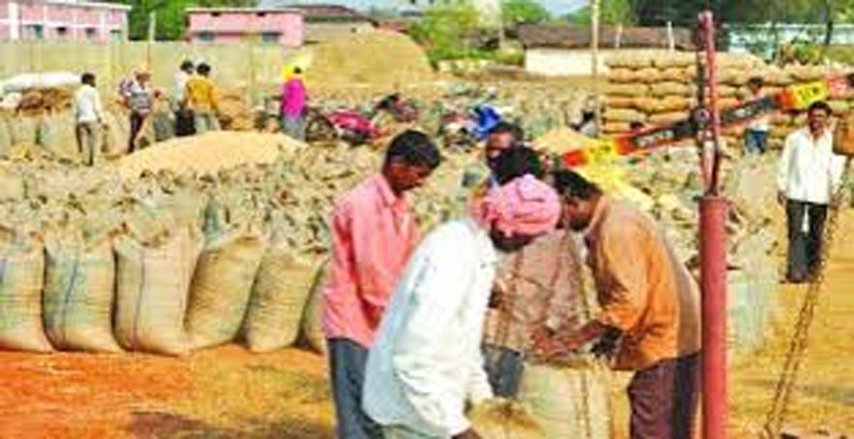 छत्तीसगढ़ में धान खरीद छत्तीसगढ़ में धान खरीद