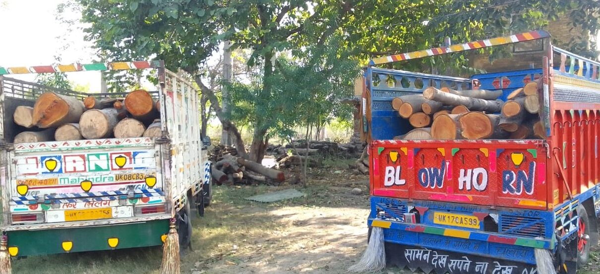 लकड़ी छोड़कर भागे वन माफिया लकड़ी छोड़कर भागे वन माफिया