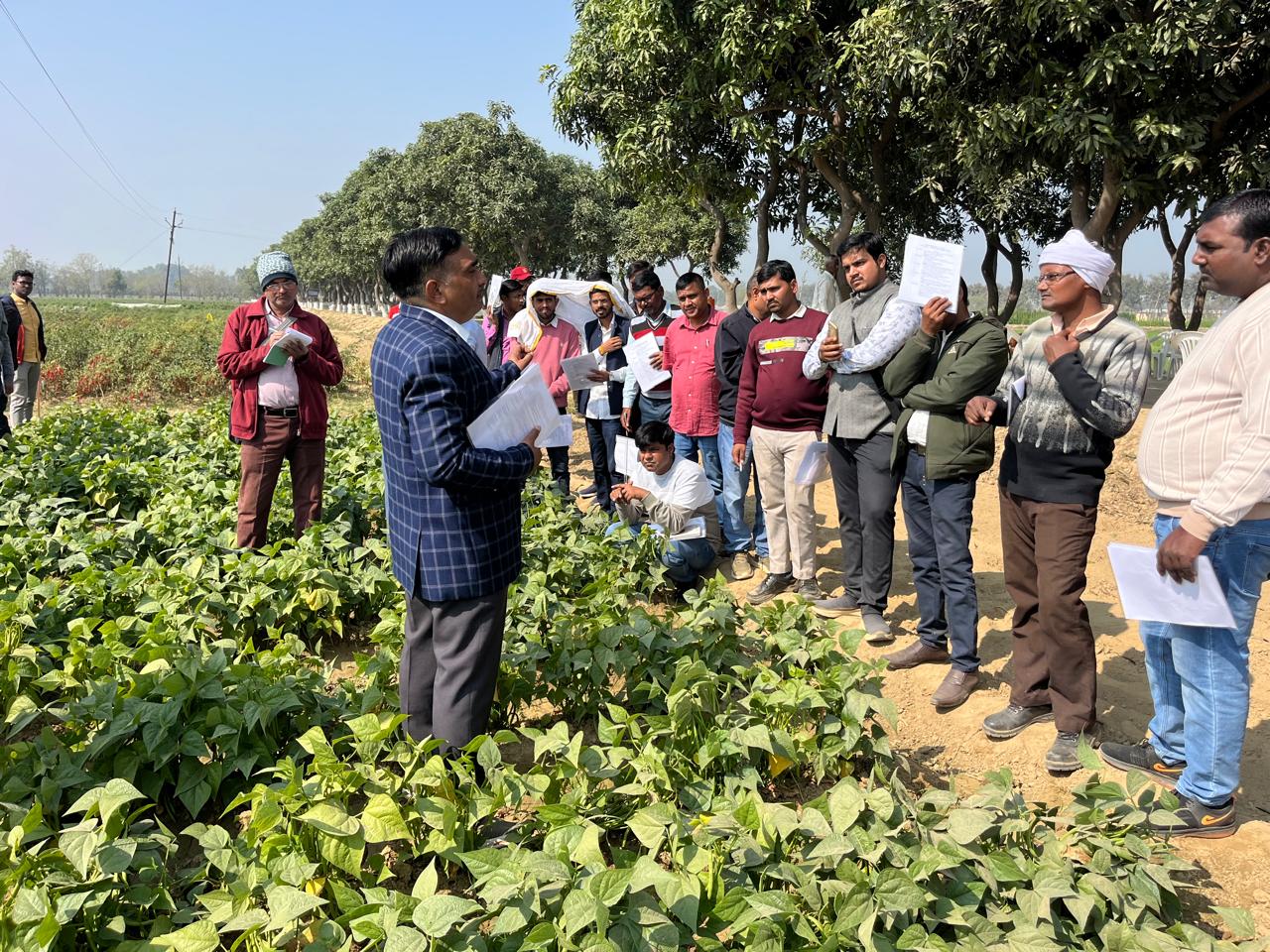 आईआईवीआर में दलहनी सब्जियों पर टेक्नोलॉजी फील्ड दिवस का आयोजन आईआईवीआर में दलहनी सब्जियों पर टेक्नोलॉजी फील्ड दिवस का आयोजन