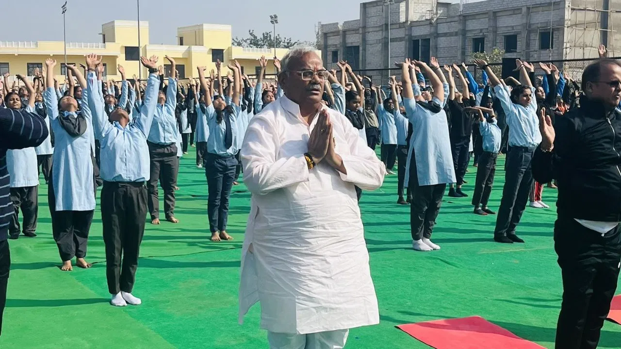 फाइल फाइल