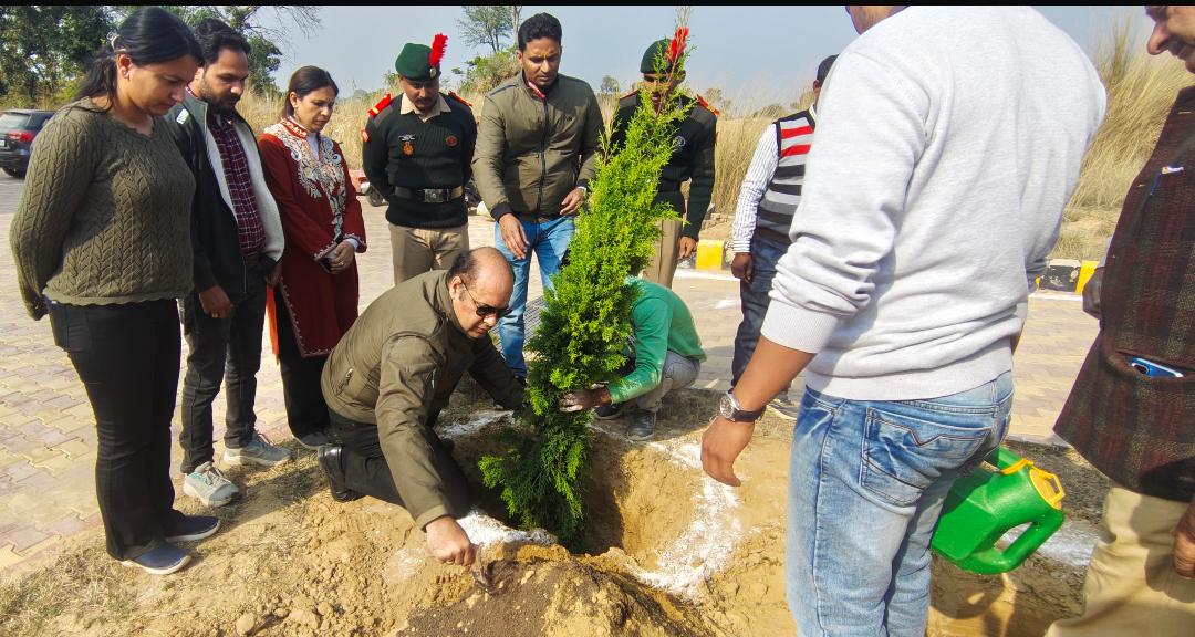 सीयूजे में हरित पहल का नेतृत्व करते हुए एनसीसी कैडेट्स ने 960 पौधे लगाए सीयूजे में हरित पहल का नेतृत्व करते हुए एनसीसी कैडेट्स ने 960 पौधे लगाए