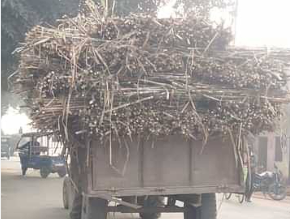 गन्ना उपायुक्त की जांच में बिलारी, राणा व डीएसएम शुगर मिल में बगैर रिफ्लेक्टर के पहुंचे वाहन गन्ना उपायुक्त की जांच में बिलारी, राणा व डीएसएम शुगर मिल में बगैर रिफ्लेक्टर के पहुंचे वाहन