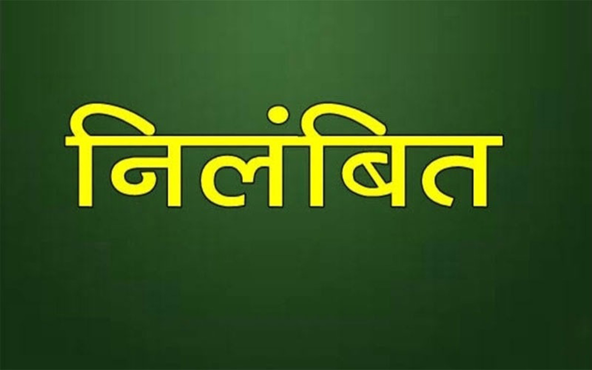 फाईल फाईल