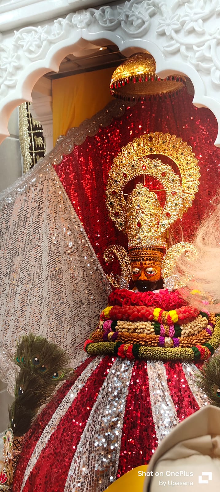 मंदिर में स्थापित हुई प्रतिमा मंदिर में स्थापित हुई प्रतिमा