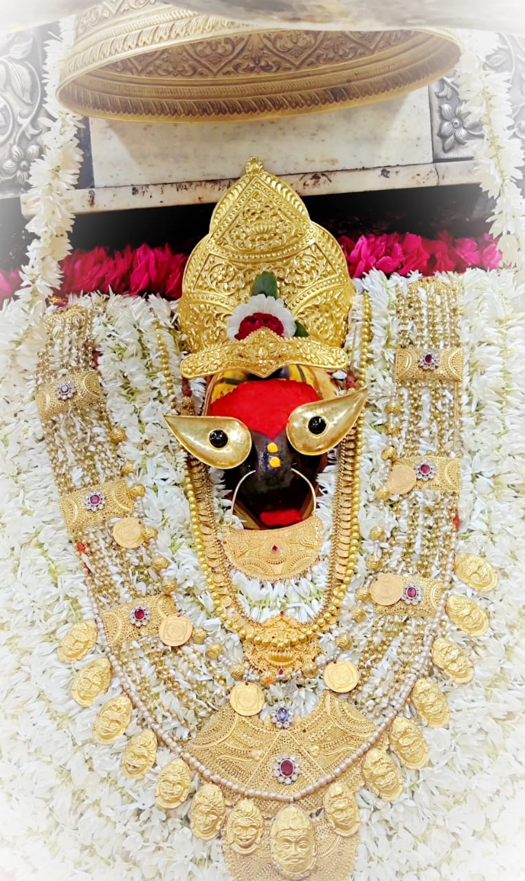 विंध्यधाम में भक्ति की बयार, श्रद्धालुओं का उमड़ा सैलाब विंध्यधाम में भक्ति की बयार, श्रद्धालुओं का उमड़ा सैलाब