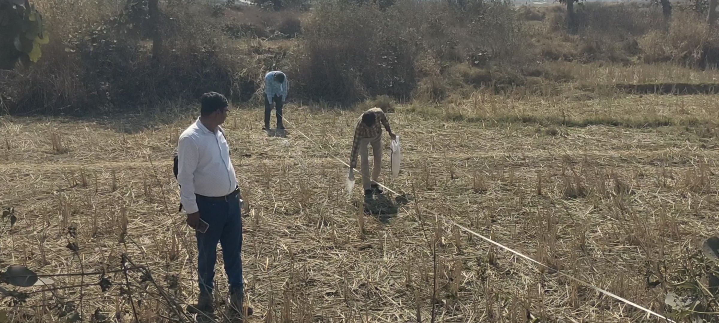 चुनाव डालकर चिन्हित करते कर्मचारी चुनाव डालकर चिन्हित करते कर्मचारी