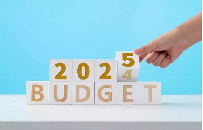 बंगाल बजट 2025 बंगाल बजट 2025