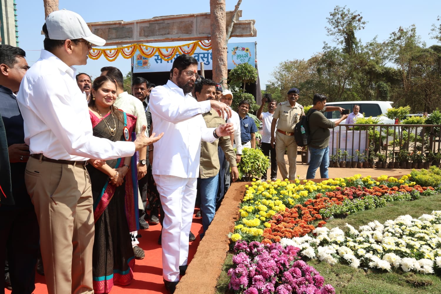 Grow organic vegetables on tmc experiment