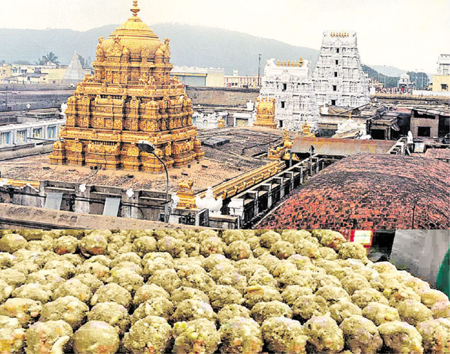 श्रीवारी लड्डू