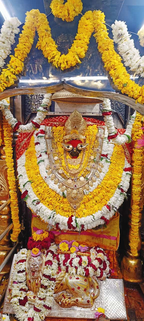 मां विन्ध्यवासिनी की महिमा अपार, भक्तों का सैलाब सोमवार को पांच लाख के पार