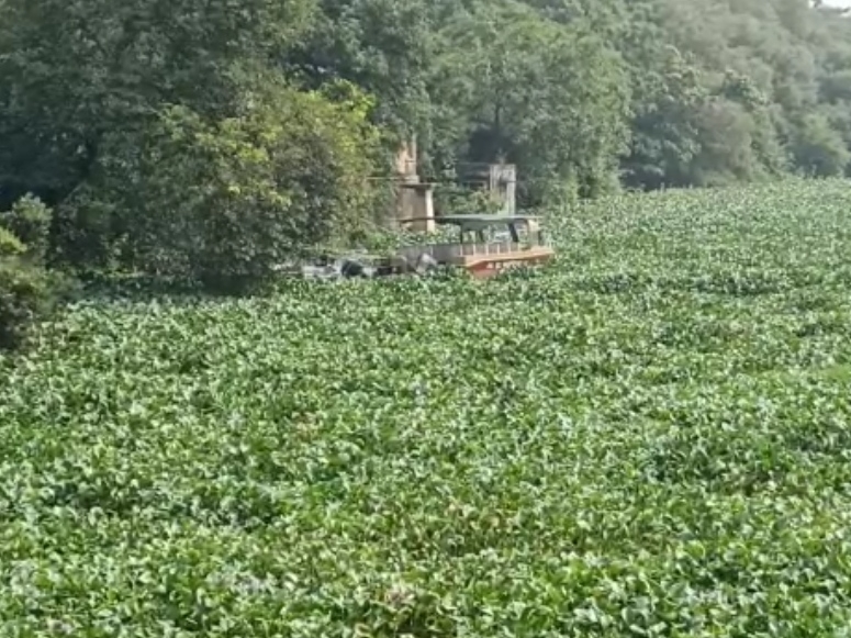 याचिकाकर्ता की ओर से युवा एडवोकेट निपुण सक्सेना ने रखा पक्ष याचिकाकर्ता की ओर से युवा एडवोकेट निपुण सक्सेना ने रखा पक्ष