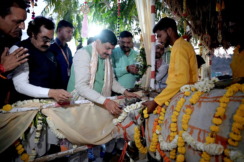 मुख्यमंत्री डॉ. मोहन यादव ने जबलपुर के ग्राम उमरिया में गौ-माता की पूजा की मुख्यमंत्री डॉ. मोहन यादव ने जबलपुर के ग्राम उमरिया में गौ-माता की पूजा की