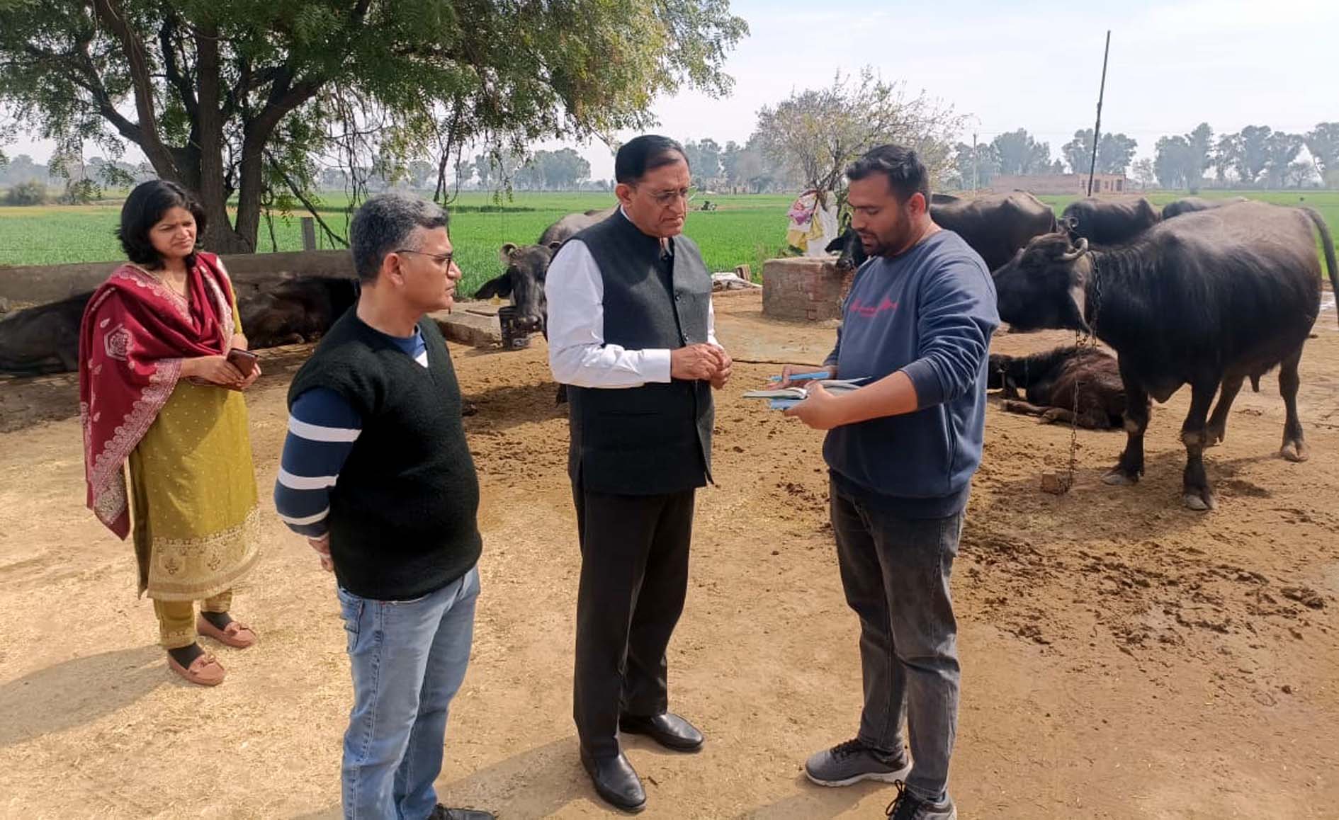 कैमरी गांव में पशुपालन एवं डेयरी विभाग के उपनिदेशक डॉ. सुभाष जांगड़ा सर्वे टीम को निर्देश देते हुए। कैमरी गांव में पशुपालन एवं डेयरी विभाग के उपनिदेशक डॉ. सुभाष जांगड़ा सर्वे टीम को निर्देश देते हुए।