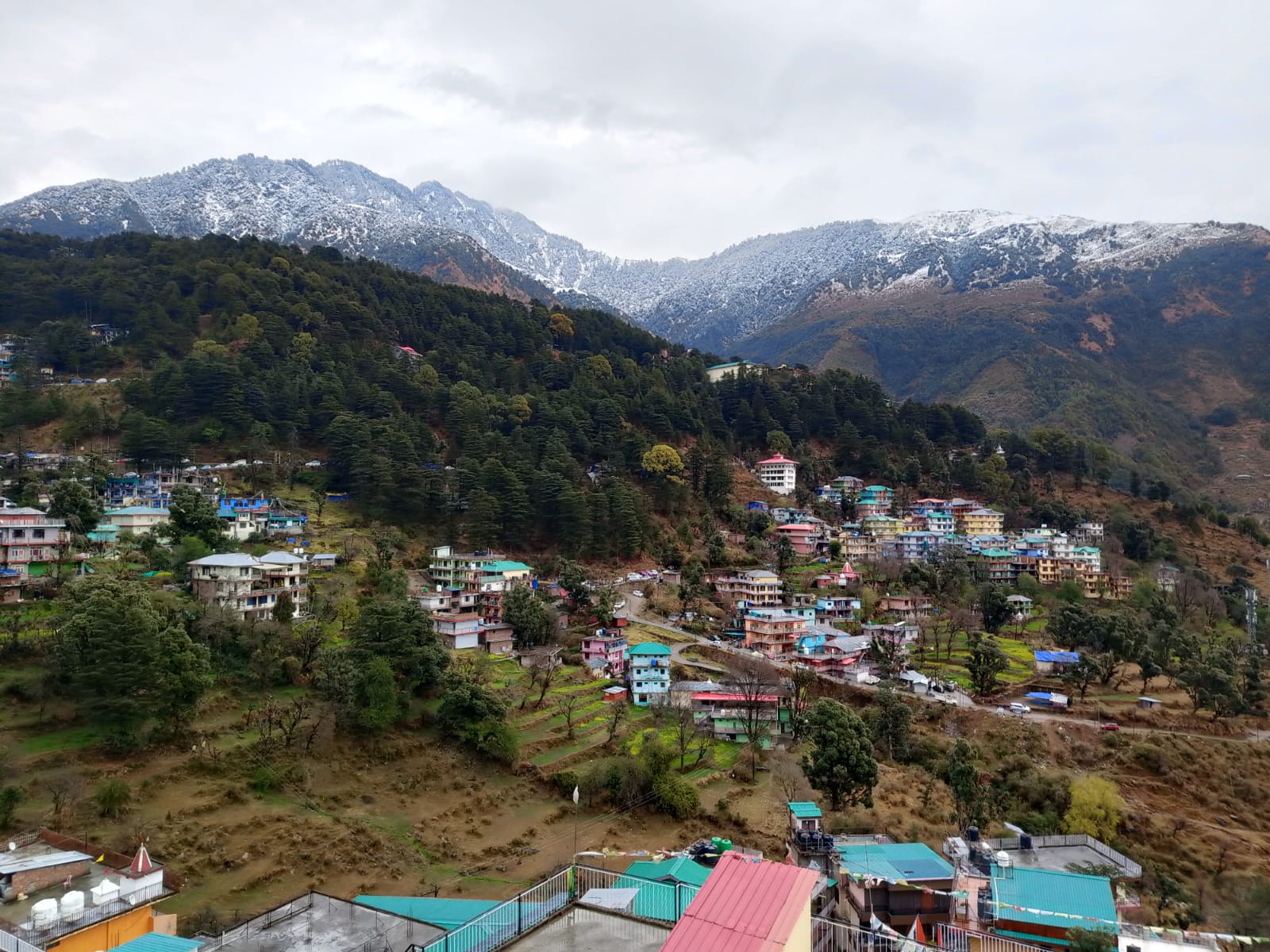 ताजा बर्फबारी का दृश्य। ताजा बर्फबारी का दृश्य।