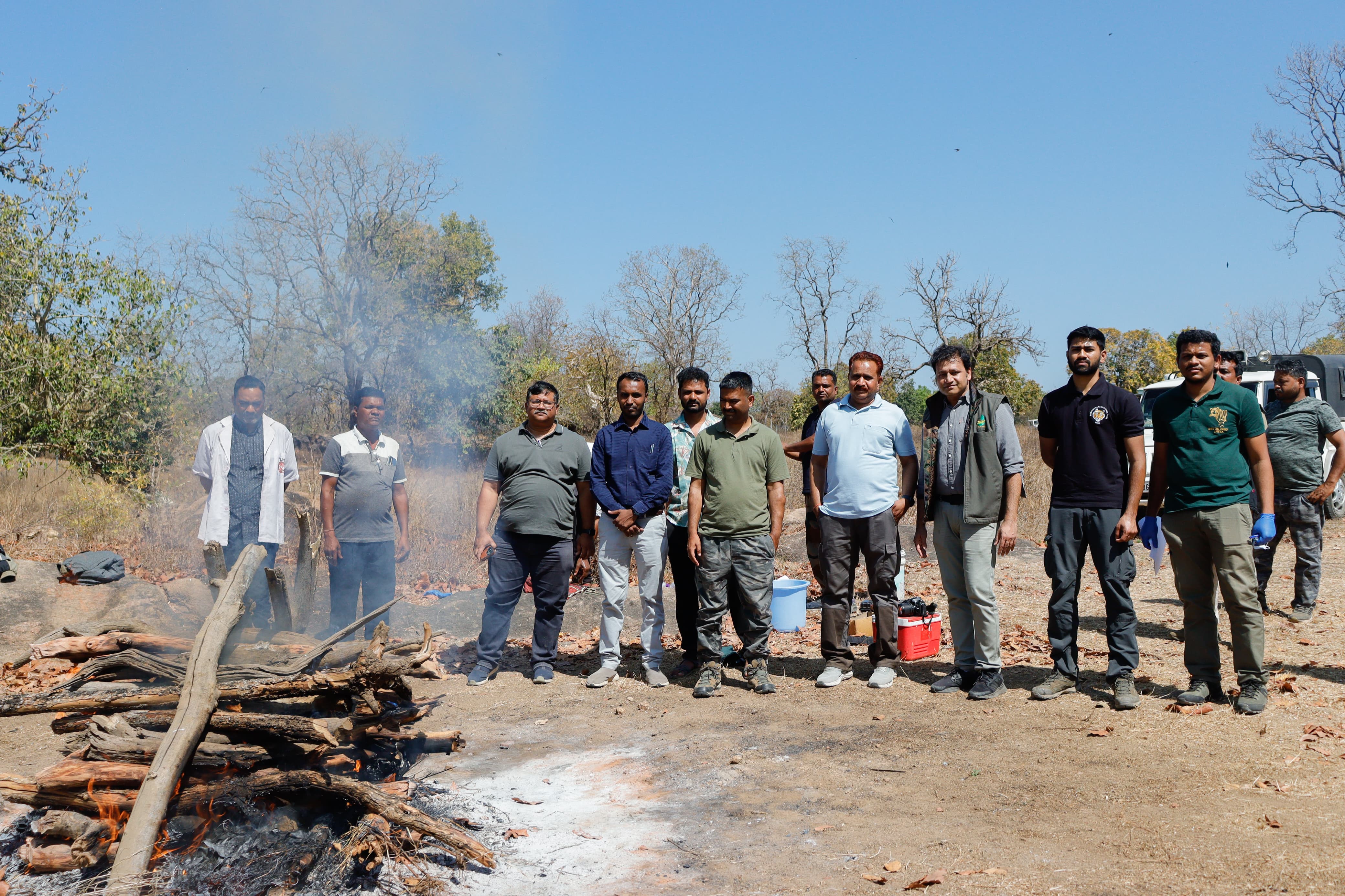 Seoni: Body of a three-year-old female tiger found Seoni: Body of a three-year-old female tiger found