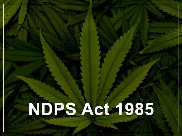 Ndps Ndps