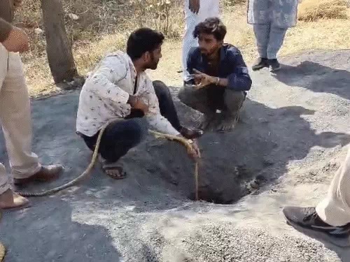 बोरवेल में रस्सी डालकर बच्चे को निकालने के प्रयास किए जा रहे हैं। बोरवेल में रस्सी डालकर बच्चे को निकालने के प्रयास किए जा रहे हैं।