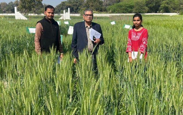 नैनो उर्वरक के ट्रायल के दाैरान डा. के.एन.तिवारी नैनो उर्वरक के ट्रायल के दाैरान डा. के.एन.तिवारी