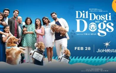 दिल दोस्ती और डॉग्स - फोटो सोर्स ऑनलाइन दिल दोस्ती और डॉग्स - फोटो सोर्स ऑनलाइन