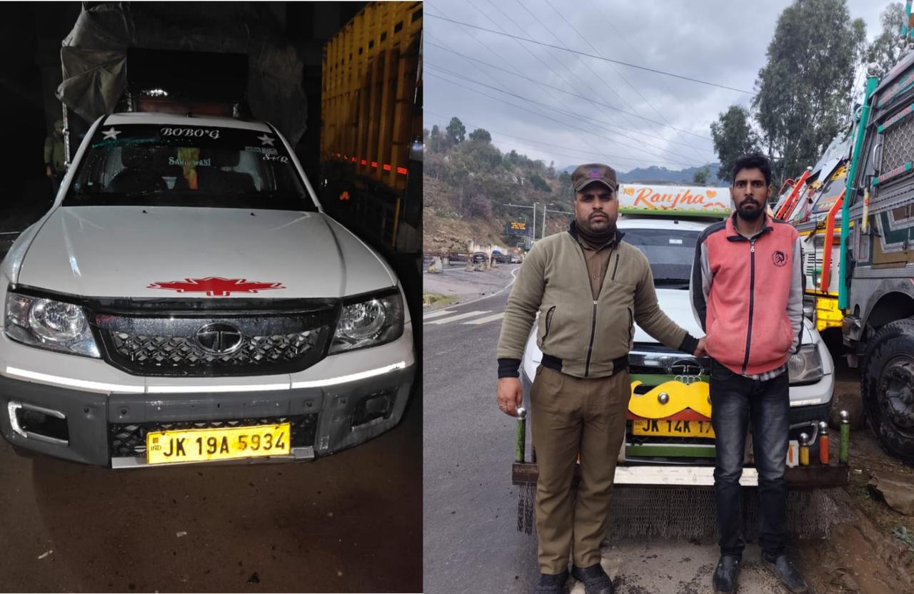 गोवंश तस्करी के प्रयास विफल, 12 गोवंश बचाए गए गोवंश तस्करी के प्रयास विफल, 12 गोवंश बचाए गए