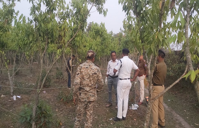 जंगल से मिला जला शव जंगल से मिला जला शव