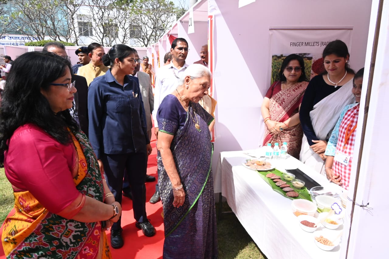 राज्यपाल राज्यपाल