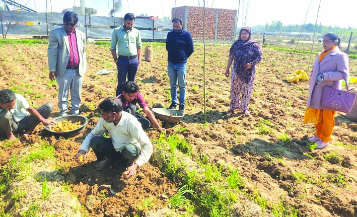 निरीक्षण के दौरान निरीक्षण के दौरान