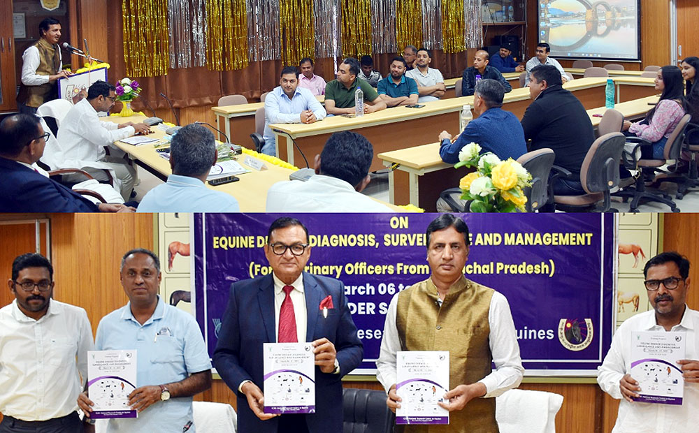 देश की कुल घोड़ों की संख्या में से लगभग 70 प्रतिशत घोड़े पहाड़ी क्षेत्रों में : डाॅ. मेहता देश की कुल घोड़ों की संख्या में से लगभग 70 प्रतिशत घोड़े पहाड़ी क्षेत्रों में : डाॅ. मेहता