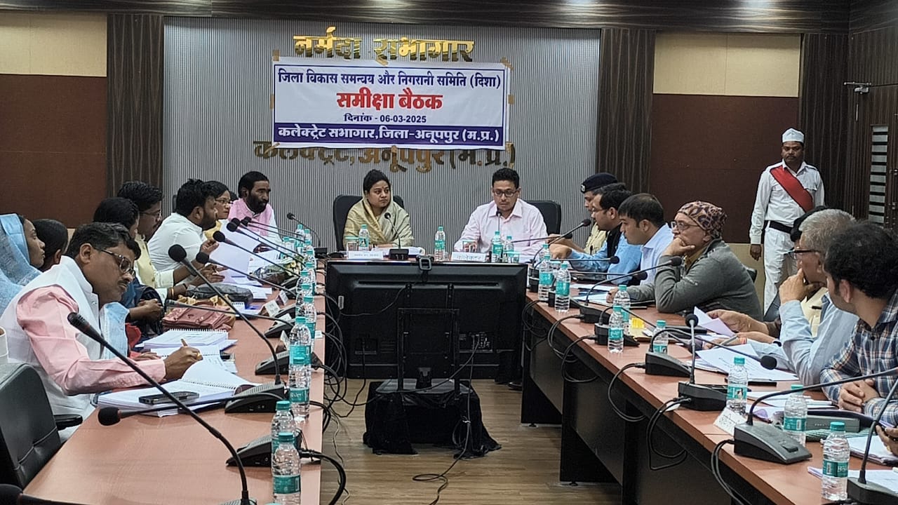 दिशा की बैठक में सांसद दिशा की बैठक में सांसद