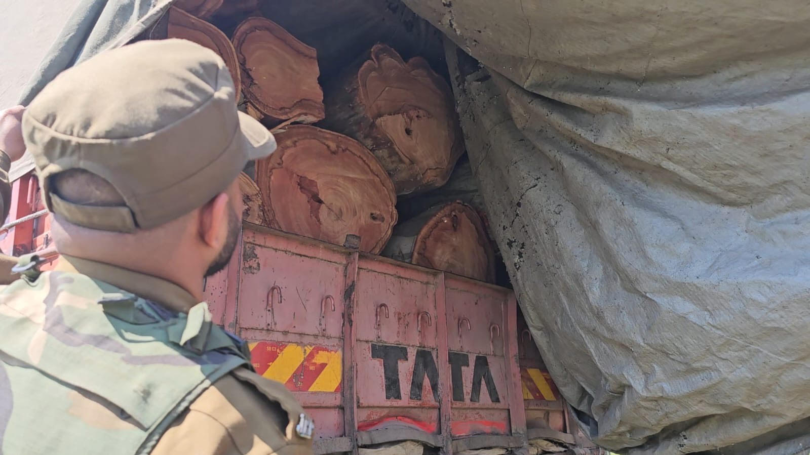Timber smuggling attempt foiled in Kathua, six trucks laden with illegal timber logs seized