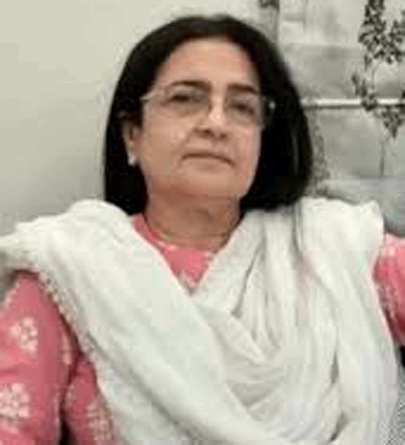 फोटो नंबर-04: राज्यसभा सांसद किरण चौधरी।