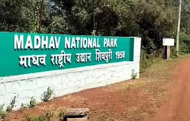 माधव राष्ट्रीय उद्यान माधव राष्ट्रीय उद्यान