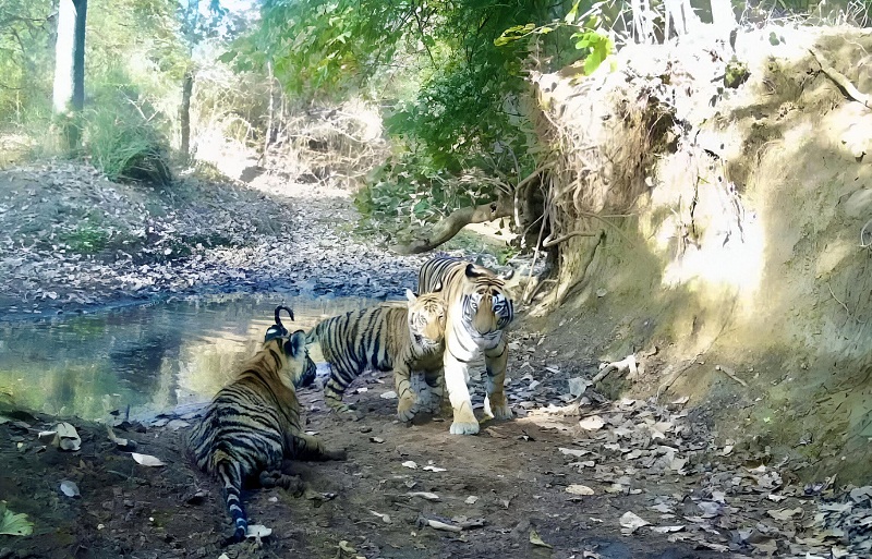 माधव राष्ट्रीय उद्यान माधव राष्ट्रीय उद्यान