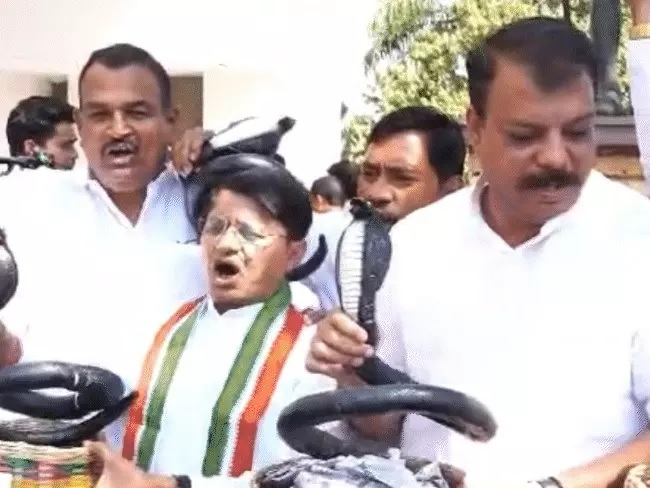 प्लास्टिक के सांप लेकर विधानसभा पहुंचे कांग्रेस विधायक प्लास्टिक के सांप लेकर विधानसभा पहुंचे कांग्रेस विधायक