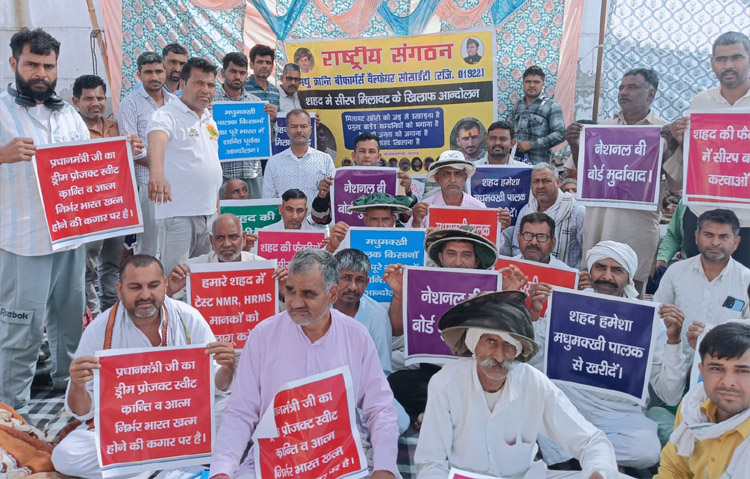 सोनीपत: लिवासपुर में अलाइड नेचर प्रोडक्ट्स के पास मधुक्रान्ति बी फार्मेस वेलफेयर सोसाइटी के नेतृत्व में मधुमक्खी पालक धरने पर। सोनीपत: लिवासपुर में अलाइड नेचर प्रोडक्ट्स के पास मधुक्रान्ति बी फार्मेस वेलफेयर सोसाइटी के नेतृत्व में मधुमक्खी पालक धरने पर।