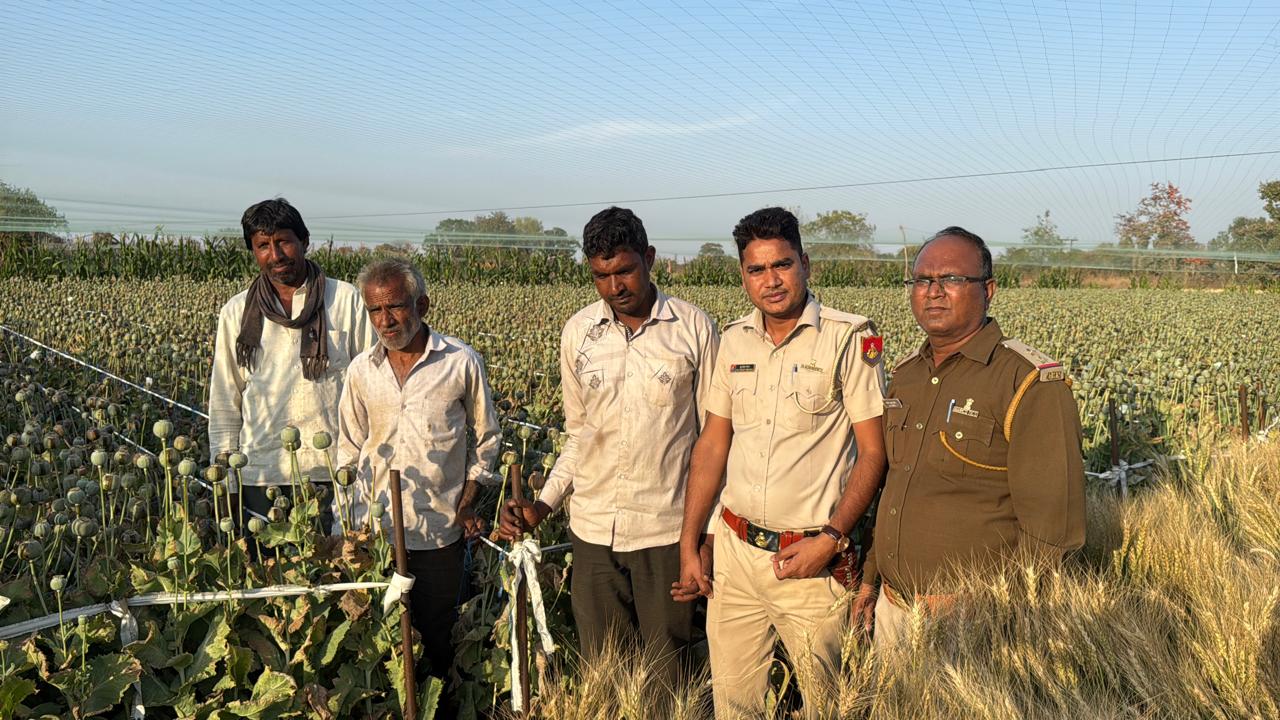 चित्तौड़गढ़ में नारकोटिक्स की टीम ने अवैध अफीम बुवाई का मामला पकड़ा। चित्तौड़गढ़ में नारकोटिक्स की टीम ने अवैध अफीम बुवाई का मामला पकड़ा।