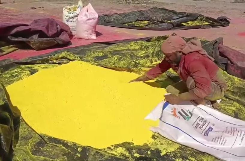 पीला रंग को बोरी में भरते मज़दूर पीला रंग को बोरी में भरते मज़दूर