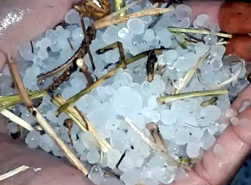 गांवों में रिमझिम बारिश और कुछ गांवों में ओलावृष्टि गांवों में रिमझिम बारिश और कुछ गांवों में ओलावृष्टि