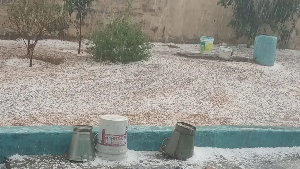 फाइल फाइल