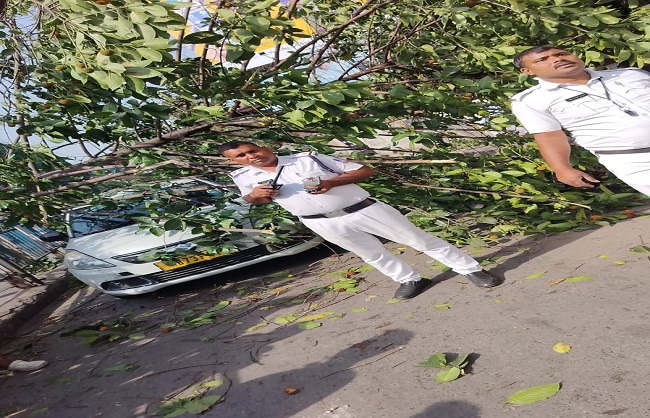 सड़क पर गिरी पेड़ की डाली सड़क पर गिरी पेड़ की डाली
