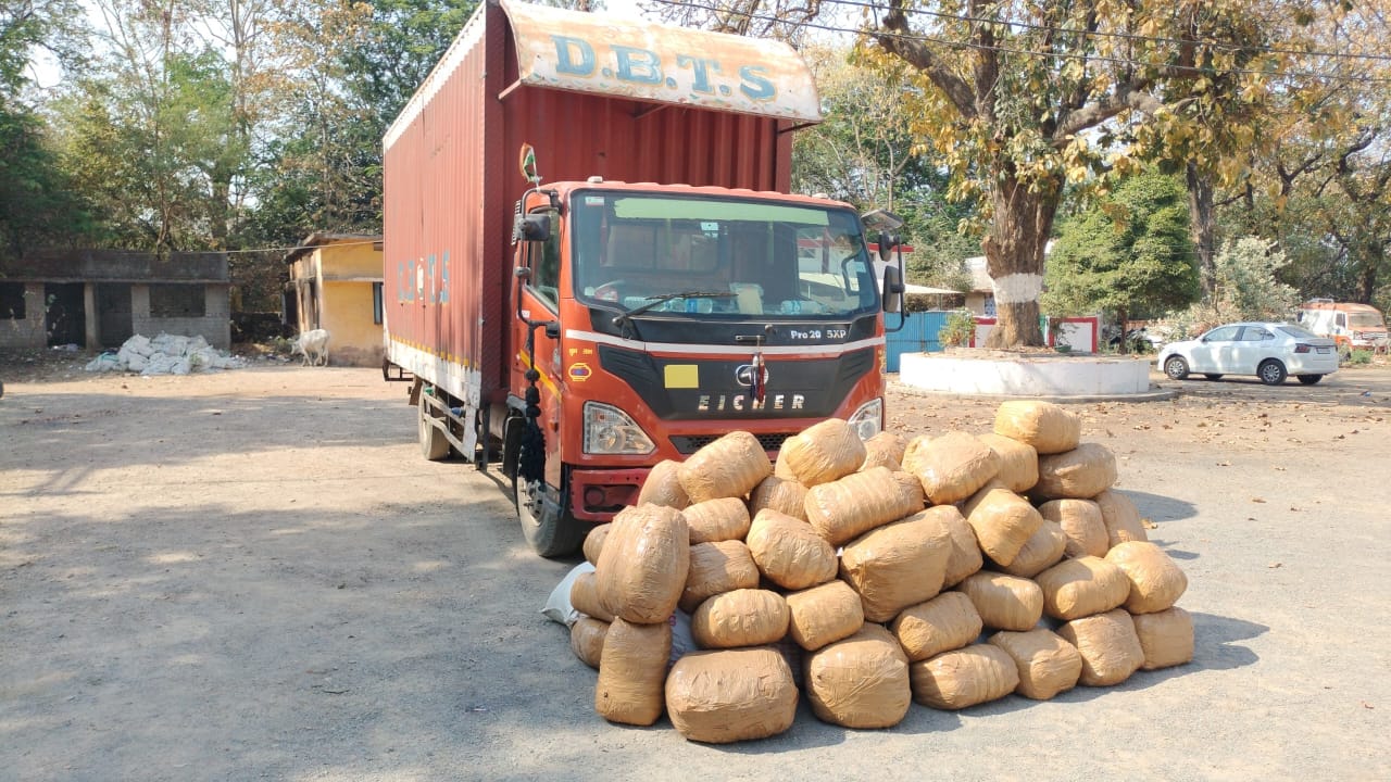 कोरबा पुलिस की बड़ी सफलता: 500 किलो गांजा जप्त, परिवहन में प्रयुक्त कंटेनर वाहन समेत एक आरोपी गिरफ्तार कोरबा पुलिस की बड़ी सफलता: 500 किलो गांजा जप्त, परिवहन में प्रयुक्त कंटेनर वाहन समेत एक आरोपी गिरफ्तार