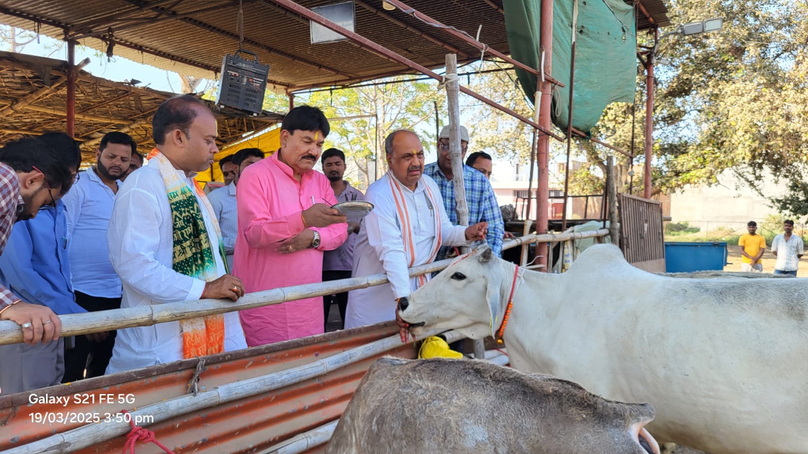 मुख्यमंत्री का ड्रीम प्रोजेक्ट है गो माता की होनी चाहिए रक्षाः राजेश सिंह मुख्यमंत्री का ड्रीम प्रोजेक्ट है गो माता की होनी चाहिए रक्षाः राजेश सिंह