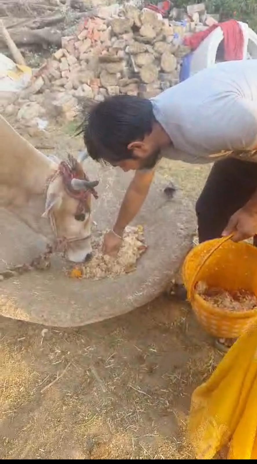 गायत्री परिवार के कार्यकर्ताओं ने समझाइश कर दस क्विंटल भोजन सामग्री गौशालाओं-कच्ची बस्तियों में पहुंचाई गायत्री परिवार के कार्यकर्ताओं ने समझाइश कर दस क्विंटल भोजन सामग्री गौशालाओं-कच्ची बस्तियों में पहुंचाई
