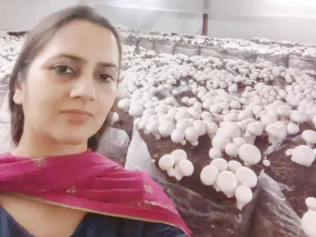 सोनीपत: असिस्टेंट प्रोफेसर सोनिया दहिया जिसे हरियाणा के मुख्यमंत्री नायब सिंह सैनी द्वारा सम्मानित किया गया सोनीपत: असिस्टेंट प्रोफेसर सोनिया दहिया जिसे हरियाणा के मुख्यमंत्री नायब सिंह सैनी द्वारा सम्मानित किया गया