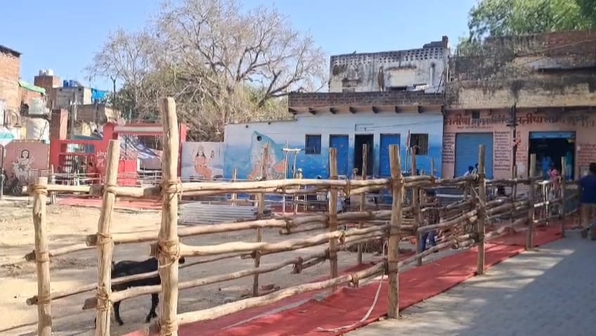 मां शैलपुत्री का दरबार मां शैलपुत्री का दरबार