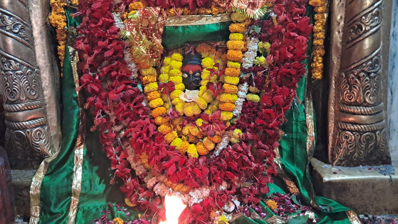 मां शैलपुत्री का दरबार मां शैलपुत्री का दरबार