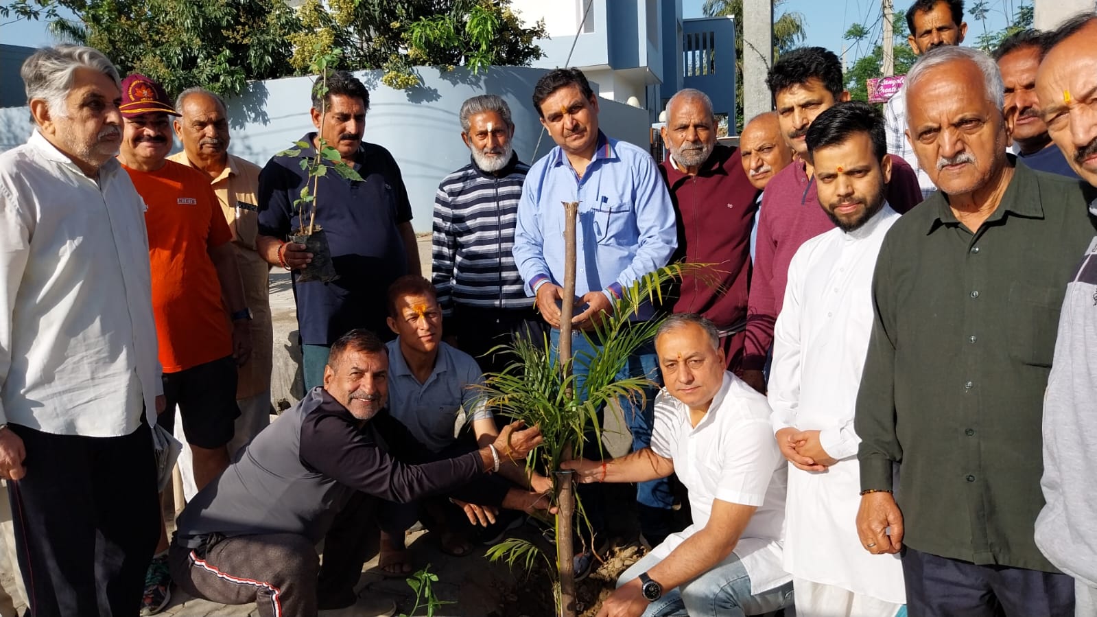 ब्राह्मण सभा छन्नी हिम्मत ने प्रारम्भ किया वृक्षारोपण अभियान ब्राह्मण सभा छन्नी हिम्मत ने प्रारम्भ किया वृक्षारोपण अभियान