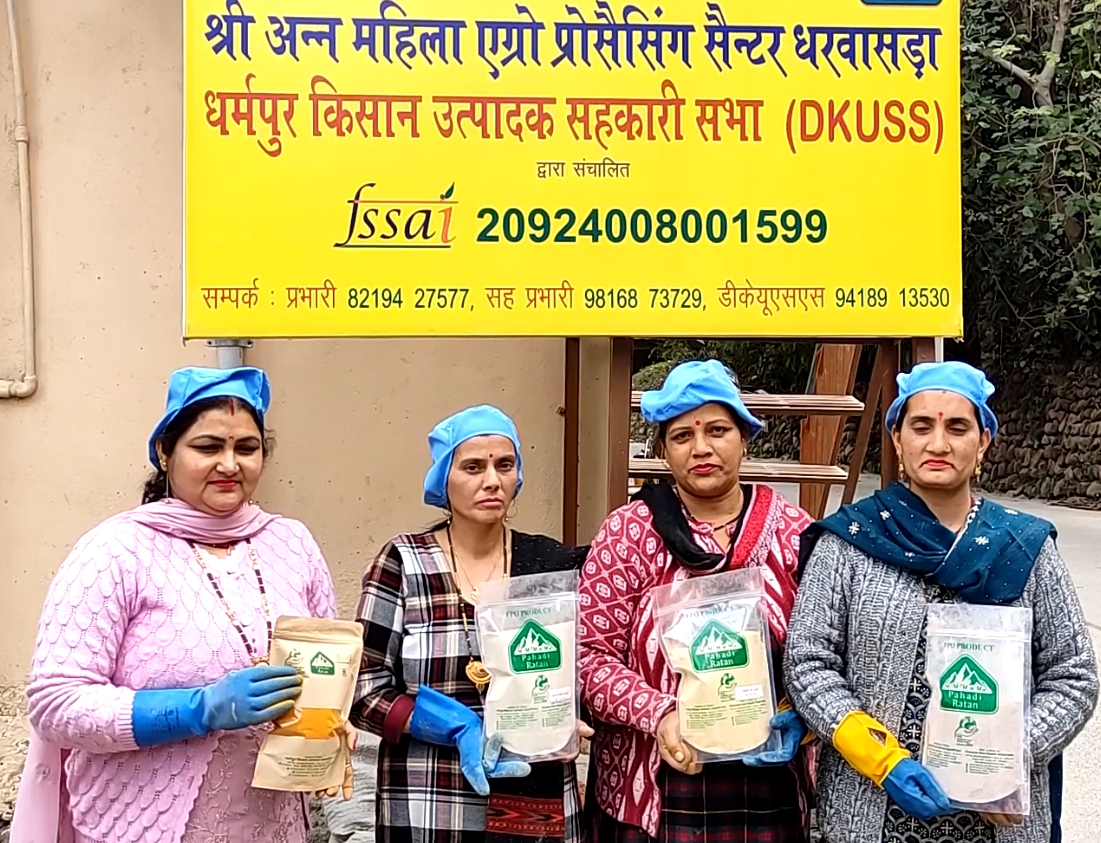 मंडी की महिलाएं हल्दी उत्पादन में अग्रणी मंडी की महिलाएं हल्दी उत्पादन में अग्रणी